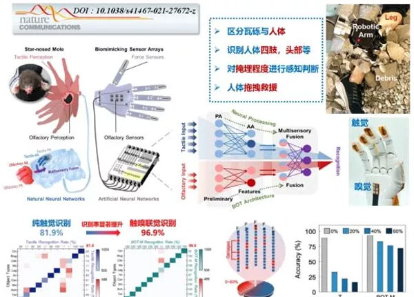 中科院利用高精度MEMS傳感器陣列研制出觸嗅一體智能仿生機(jī)械手