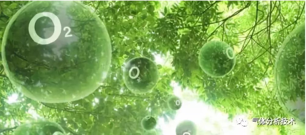 極善思傳感器|深入淺出氧氣檢測分析之前言盤點篇