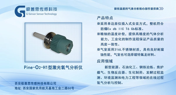環(huán)保與安全并重：激光氧含量分析儀在石油化工行業(yè)的應用實踐